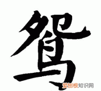 鸳和鸯各自怎么组词，鸳怎么组词 鸳组词有哪些