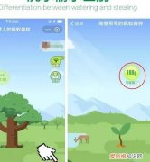 蚂蚁森林咋滴才能浇水，蚂蚁森林公益林浇水有什么用