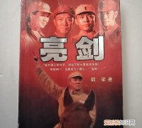 亮剑小说的最终结局具体是什么
