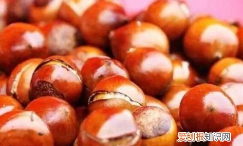 熟板栗常温下可以放多久，刚打下来淋过雨的板栗常温可以放多久