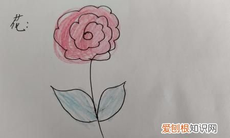 漂亮的小花怎么画