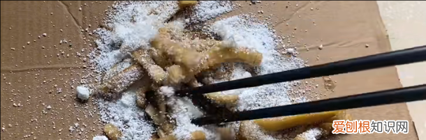 如何除蟑螂