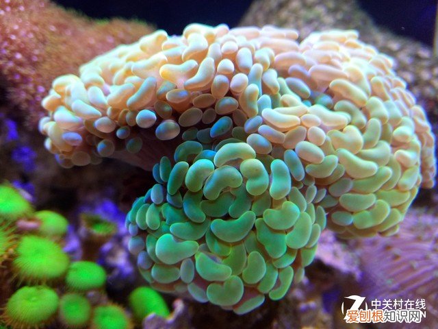 酷比魔方iplay40怎么样