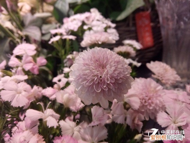 酷比魔方iplay40怎么样