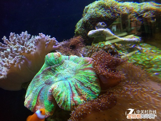 酷比魔方iplay40怎么样