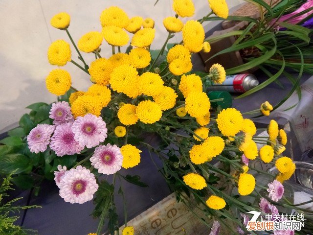 酷比魔方iplay40怎么样