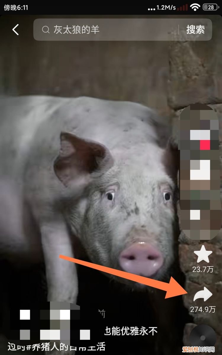 抖音里面的音乐怎么提取