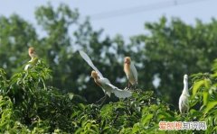 生息息是什么意思，生息繁衍的成语是什么意思