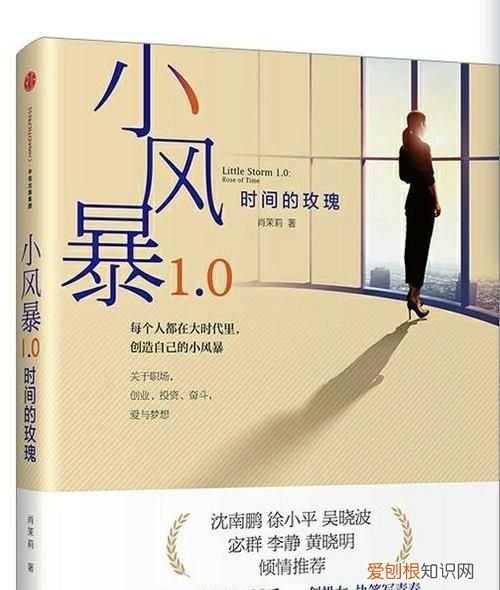 小风暴之时间的玫瑰小说