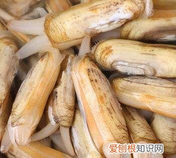 指甲贝做法 麻辣指甲贝制作方法