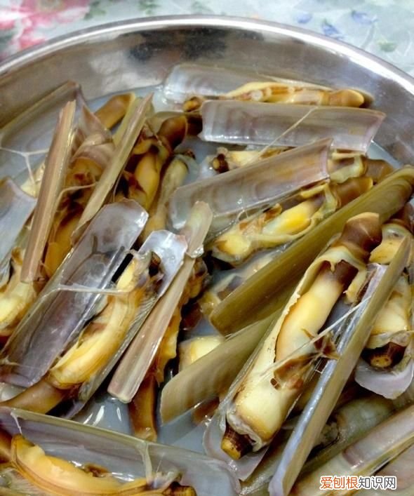 指甲贝做法 麻辣指甲贝制作方法