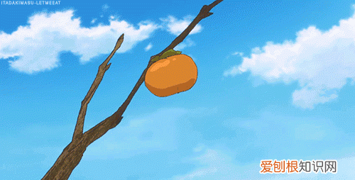 火晶柿子是甜柿还是涩柿 火晶柿子的功效与作用发涩