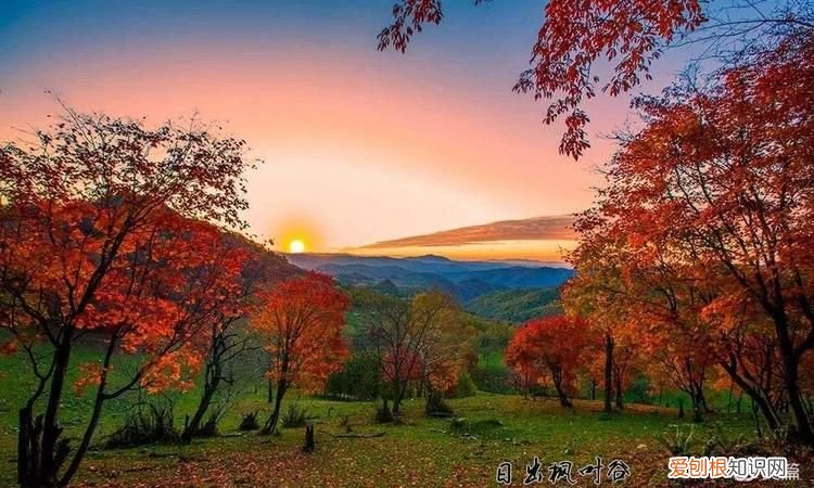 五花山在哪，五花山属于福建哪个地方