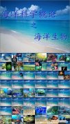 关于海洋生物的资料，海洋生物对人类的文化意义