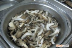 素炒平菇如何做才好吃，素炒平菇怎么做好吃法窍门