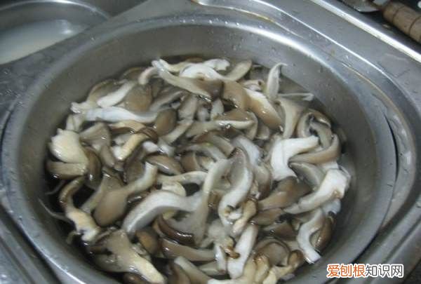 素炒平菇如何做才好吃,素炒平菇怎么做好吃法窍门