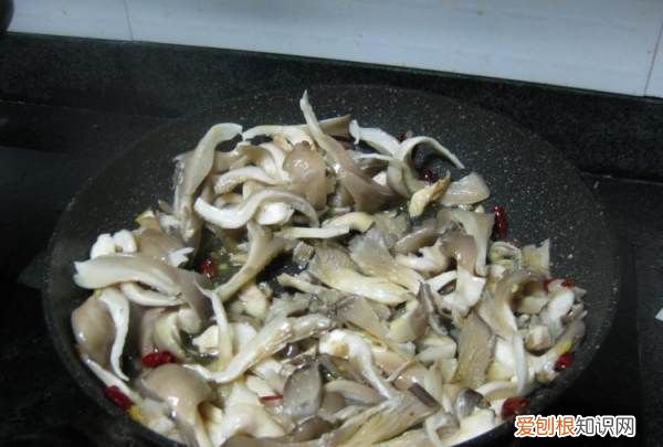素炒平菇如何做才好吃,素炒平菇怎么做好吃法窍门