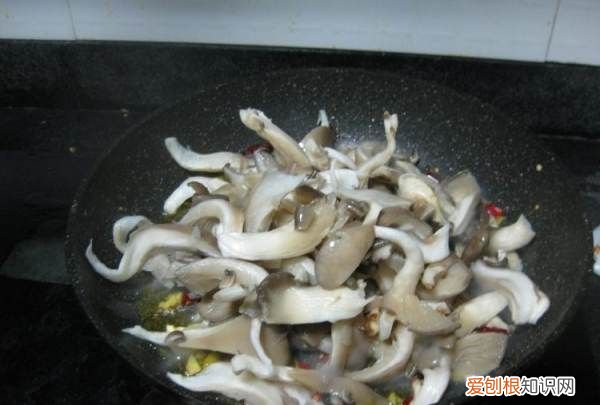 素炒平菇如何做才好吃,素炒平菇怎么做好吃法窍门