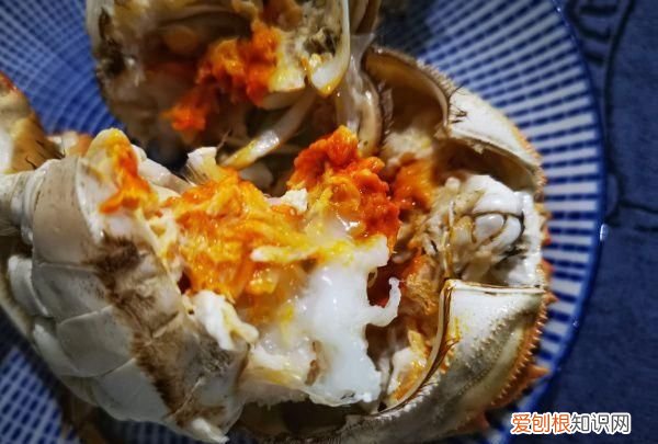 螃蟹膏是苦的怎么回事,面包蟹壳里白色的软软的是什么