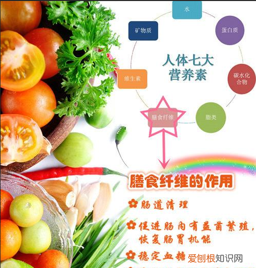 人体不可缺少的营养有哪些