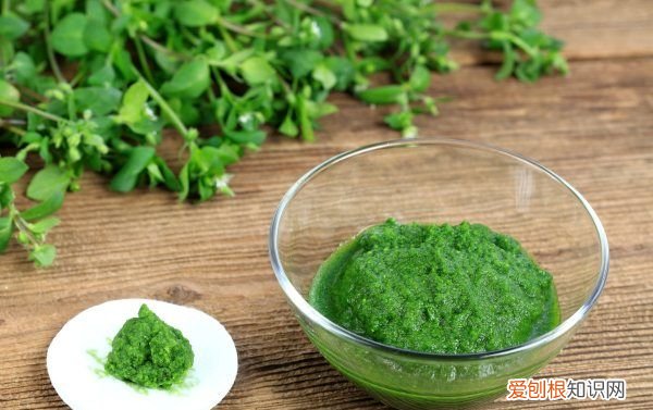 自己怎么做海藻面膜,海藻面膜用什么调效果最好