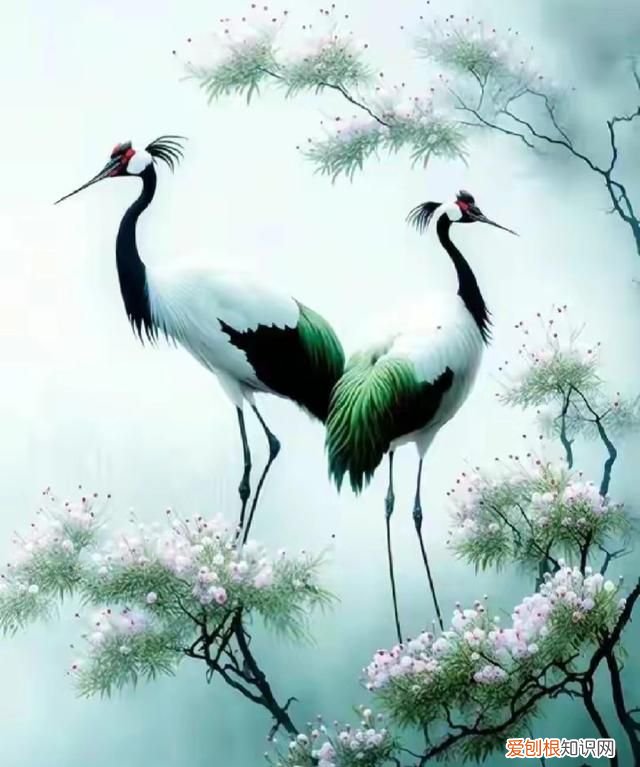 仙鹤的寓意益寿延年