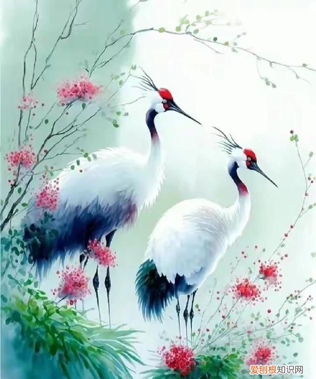 仙鹤的寓意益寿延年