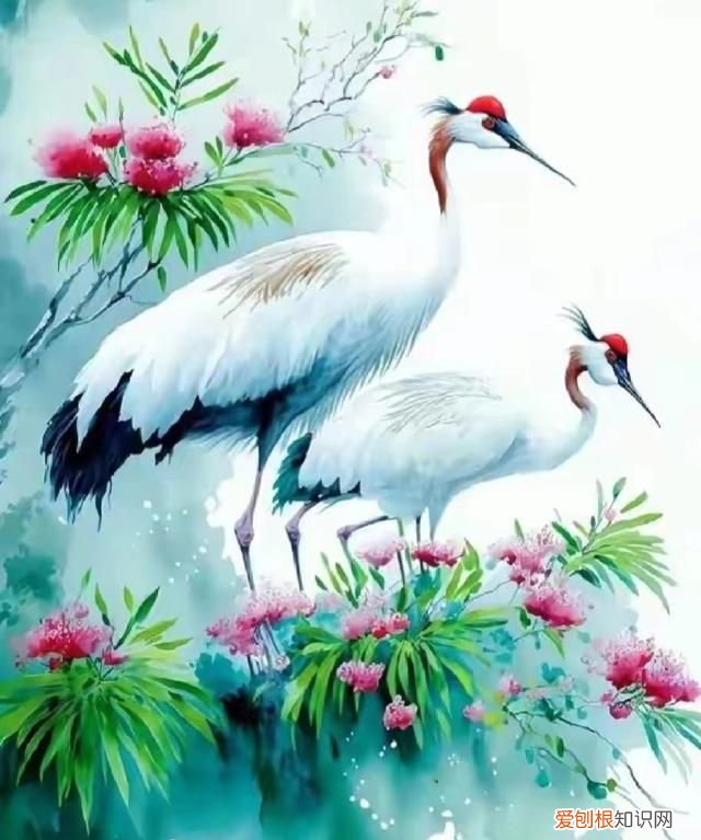 仙鹤的寓意益寿延年