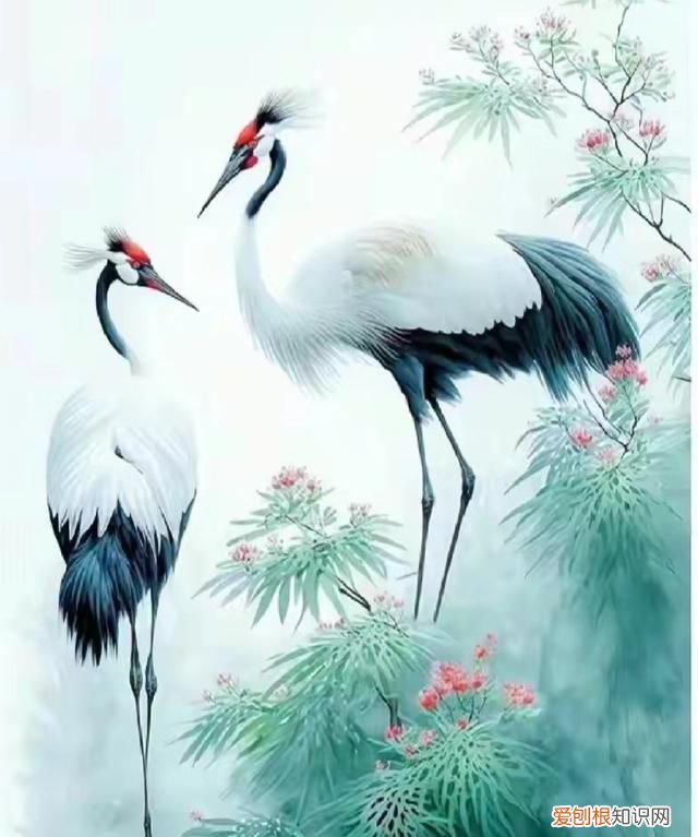 仙鹤的寓意益寿延年