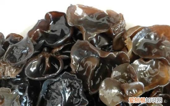 吃不完的木耳怎么保存，腐竹的家常做法当天吃不完的木耳怎么存放