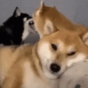 情侣装t恤怎么搭配好看，30套情侣装分享