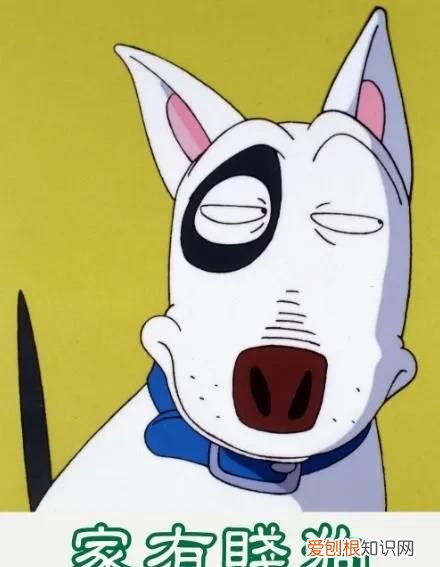 家有贱狗里的狗是什么品种