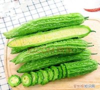 凉瓜是什么瓜，月华瓜是什么