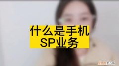 sp是什么意思