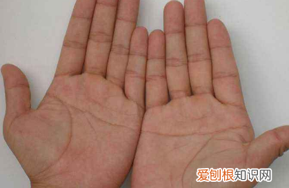 花掌和断掌有什么区别，人的身体器官结构示意图