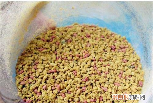 钓鲤鱼饵料配方，十月份野钓鲫鱼鲤鱼经典饵料配方
