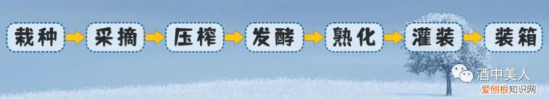 原装进口红酒怎么识别真假