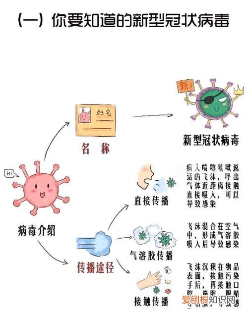 什么是新型冠状病毒，新型冠状病毒名称的由来是什么