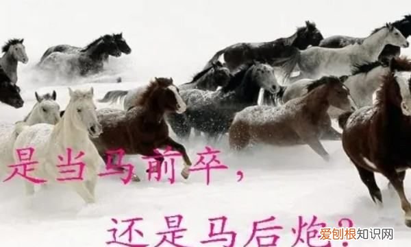 马前卒的意思，马前卒用来比喻什么人