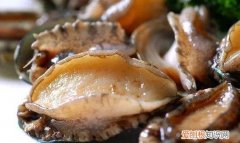 如何判断鲍鱼是否死掉，川湘菜死鲍鱼做法死了三四天了咋做好吃