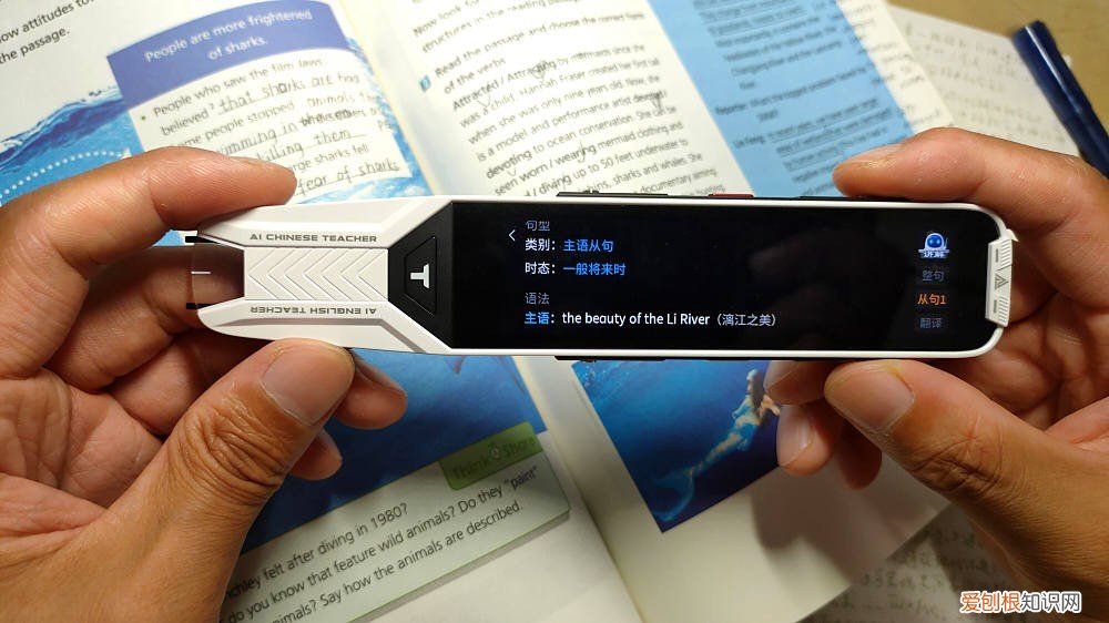 阿尔法蛋词典笔适合多大孩子