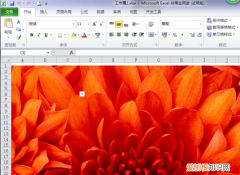 Excel该咋的才可以缩小，excel表格怎么缩小表格区域