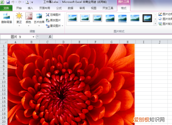 Excel该咋的才可以缩小，excel表格怎么缩小表格区域