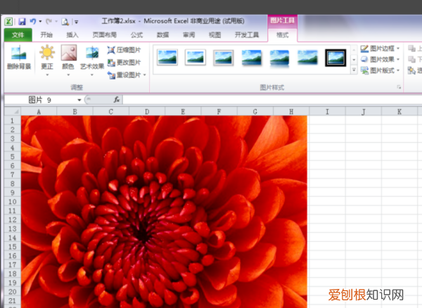 Excel该咋的才可以缩小，excel表格怎么缩小表格区域