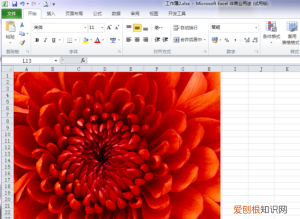 Excel该咋的才可以缩小，excel表格怎么缩小表格区域