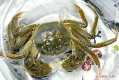 螃蟹习性，山螃蟹生活习性