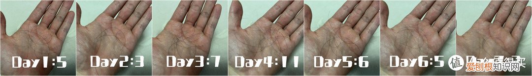 市面上最好的防脱洗发水是什么牌子