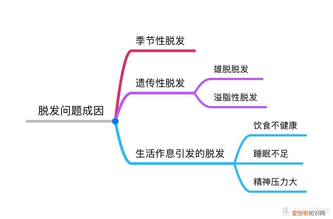 市面上最好的防脱洗发水是什么牌子