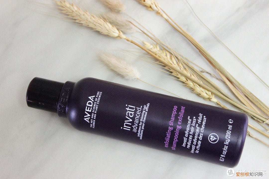 市面上最好的防脱洗发水是什么牌子