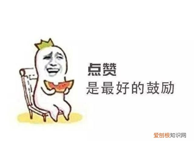dlc是什么意思,游戏dlc是什么意思